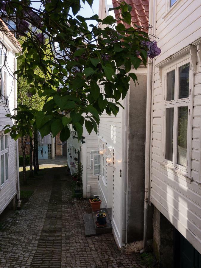 Homestay Claus Ockenssmauet 3 *