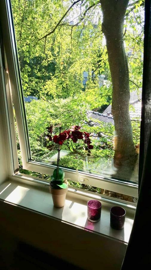 7 Mountains Apt #1 * Bergen