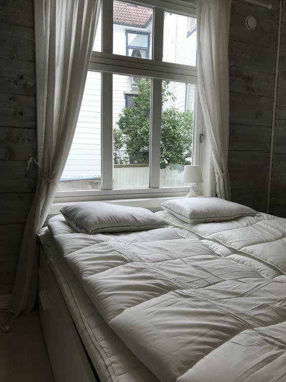 Apartment Central, Yet Quiet And Cozy!