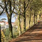 Villa Rose I 1890 - 2024 Reno I 15 Min To Bryggen