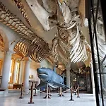 Dinbnb Apartments L Historical Building I 100M To University Museum