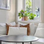 Central Charm