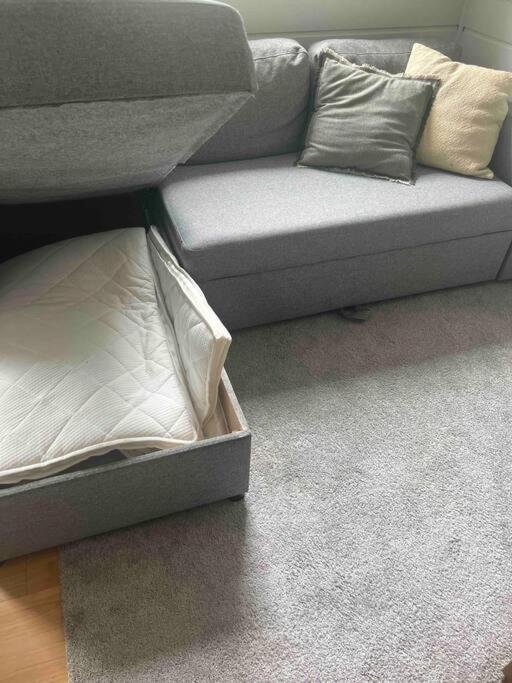 Apartment Cosy With Free Parking