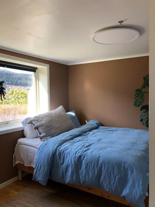 Cosy Aparment In Appartement