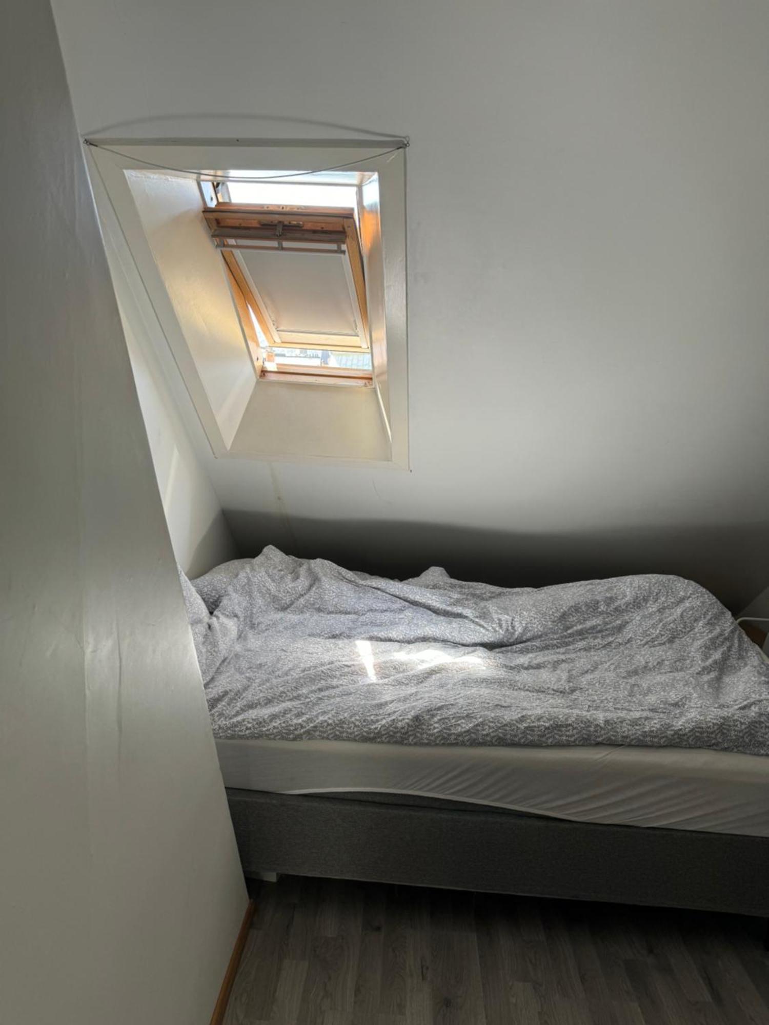 Spacious And I 250m From Bryggen Leilighet