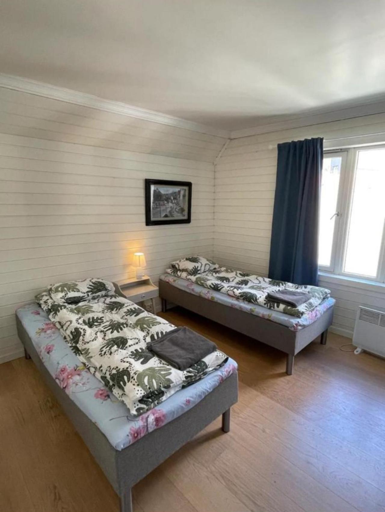 The Green House - In The Centre Of Apartment