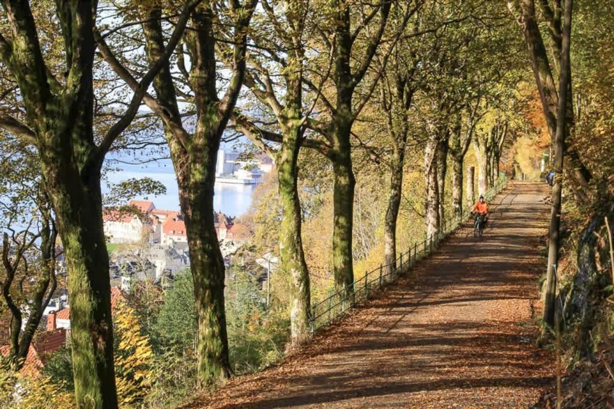 Rose I 1890 - 2024 Reno I 15 Min To Bryggen Holiday home Bergen