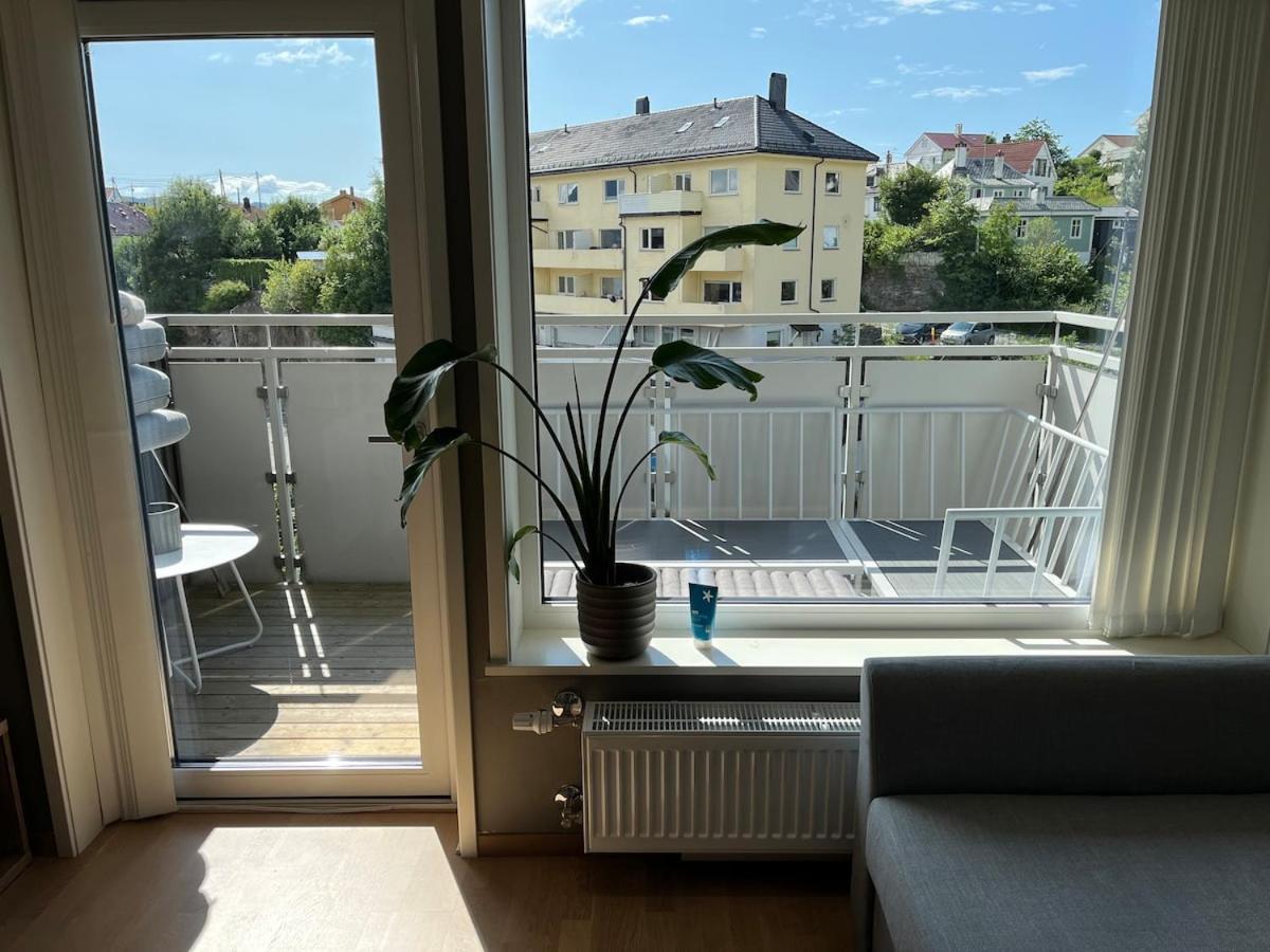 In Modern Complex Near Old Appartement